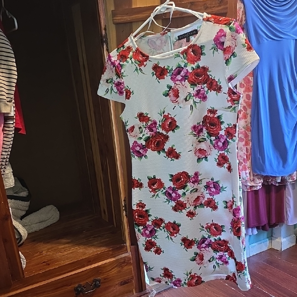 Chic Floral Mini Dress in Red and White